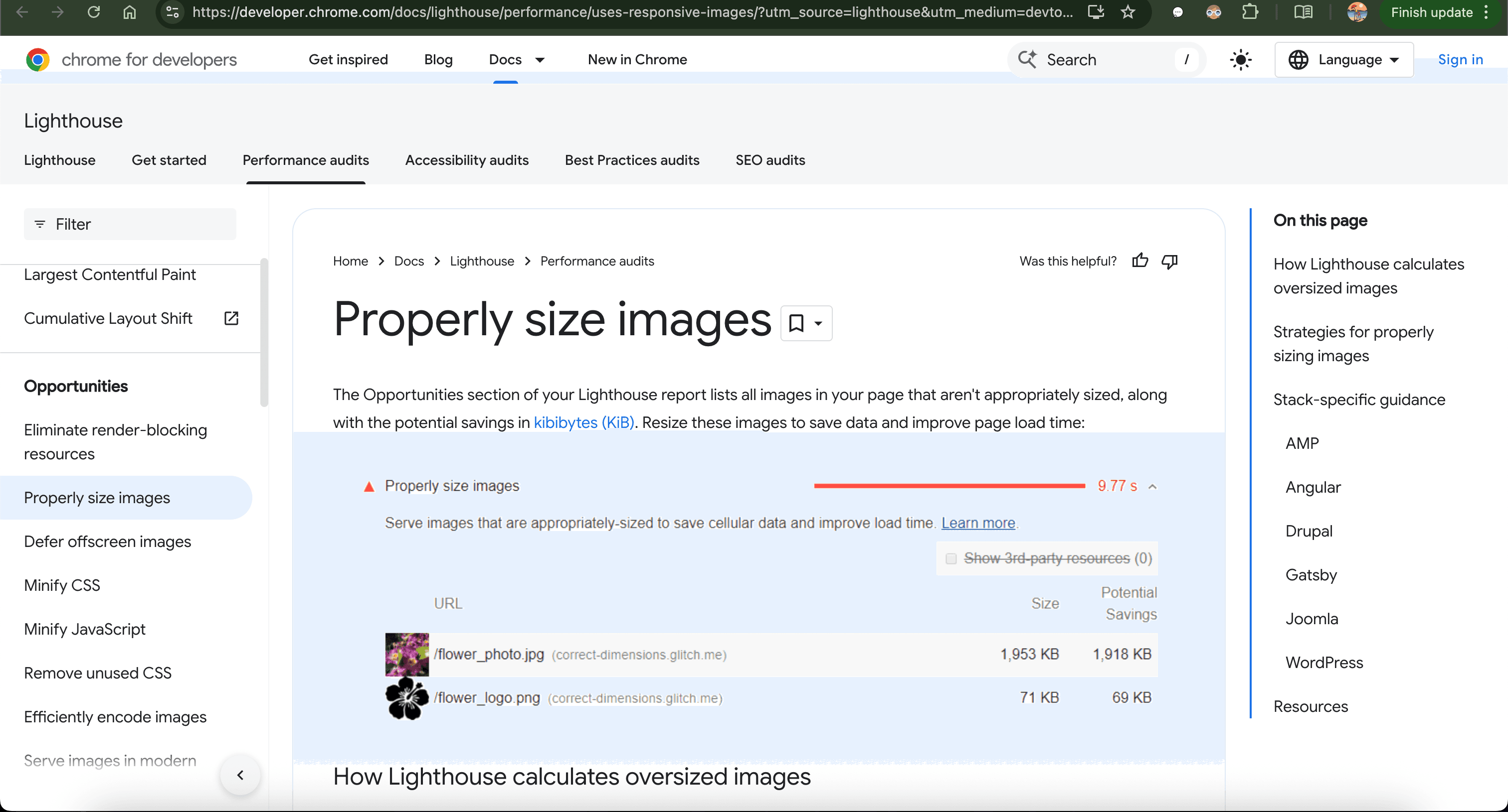 properly sized images
