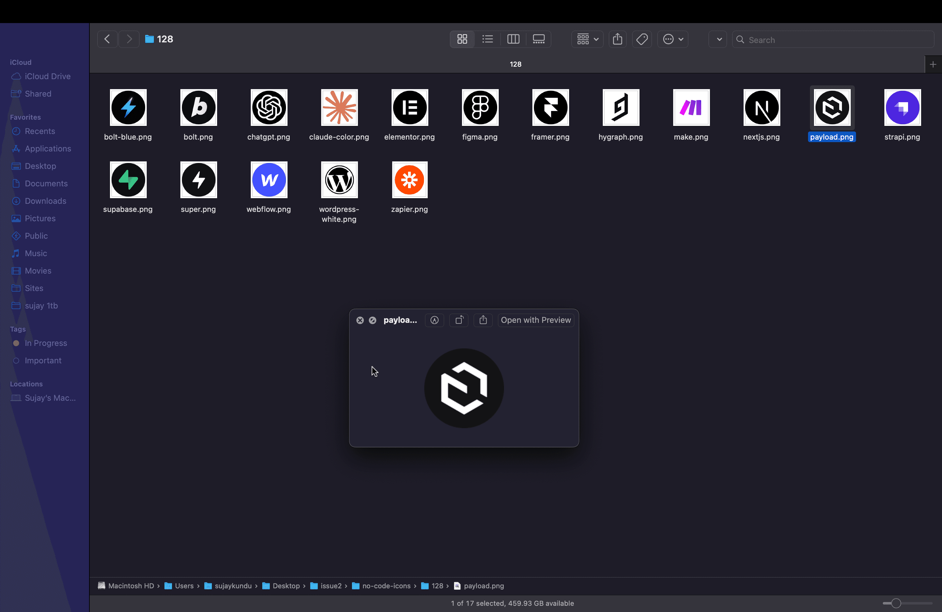 Issue 2 web optimization issues