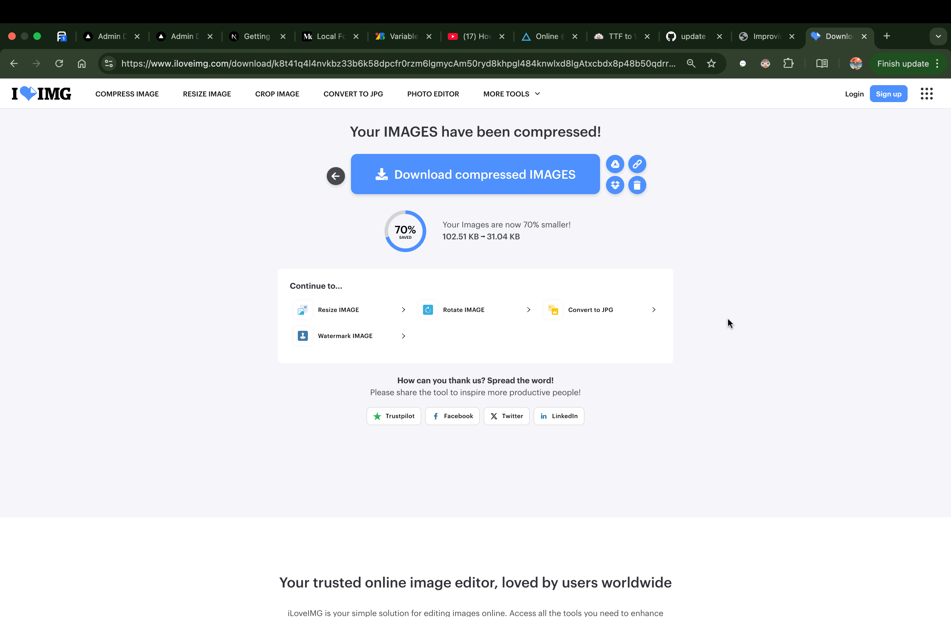 Issue 2 web optimization issues