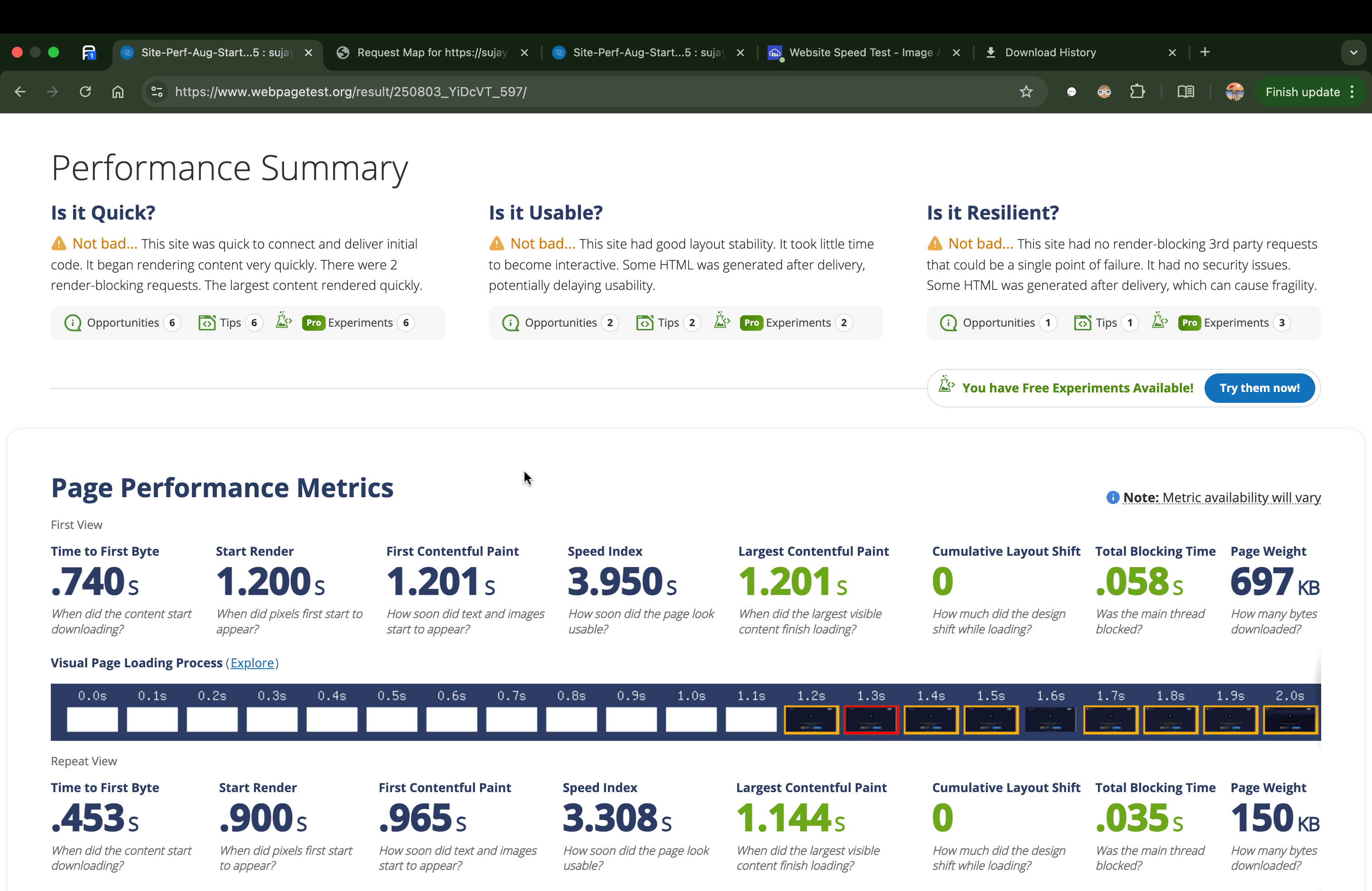 Issue 4 - webpage test report