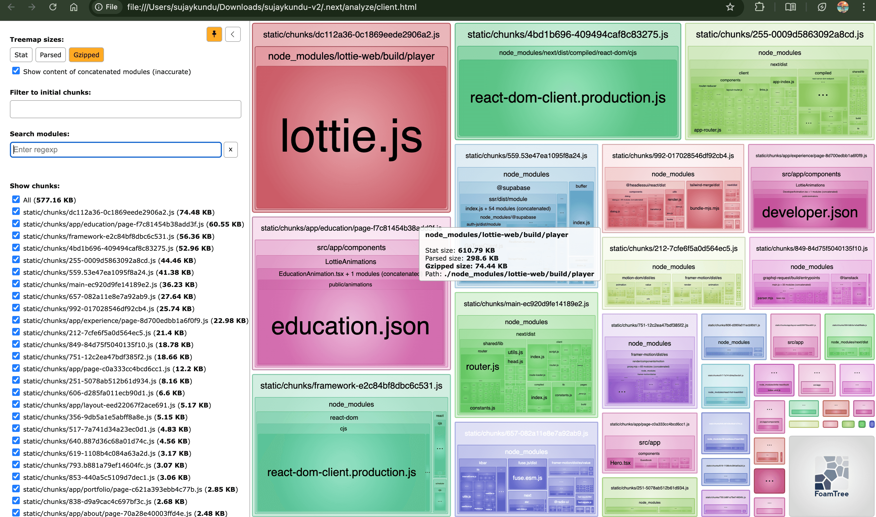 Webpack Bundle Analyzer Client