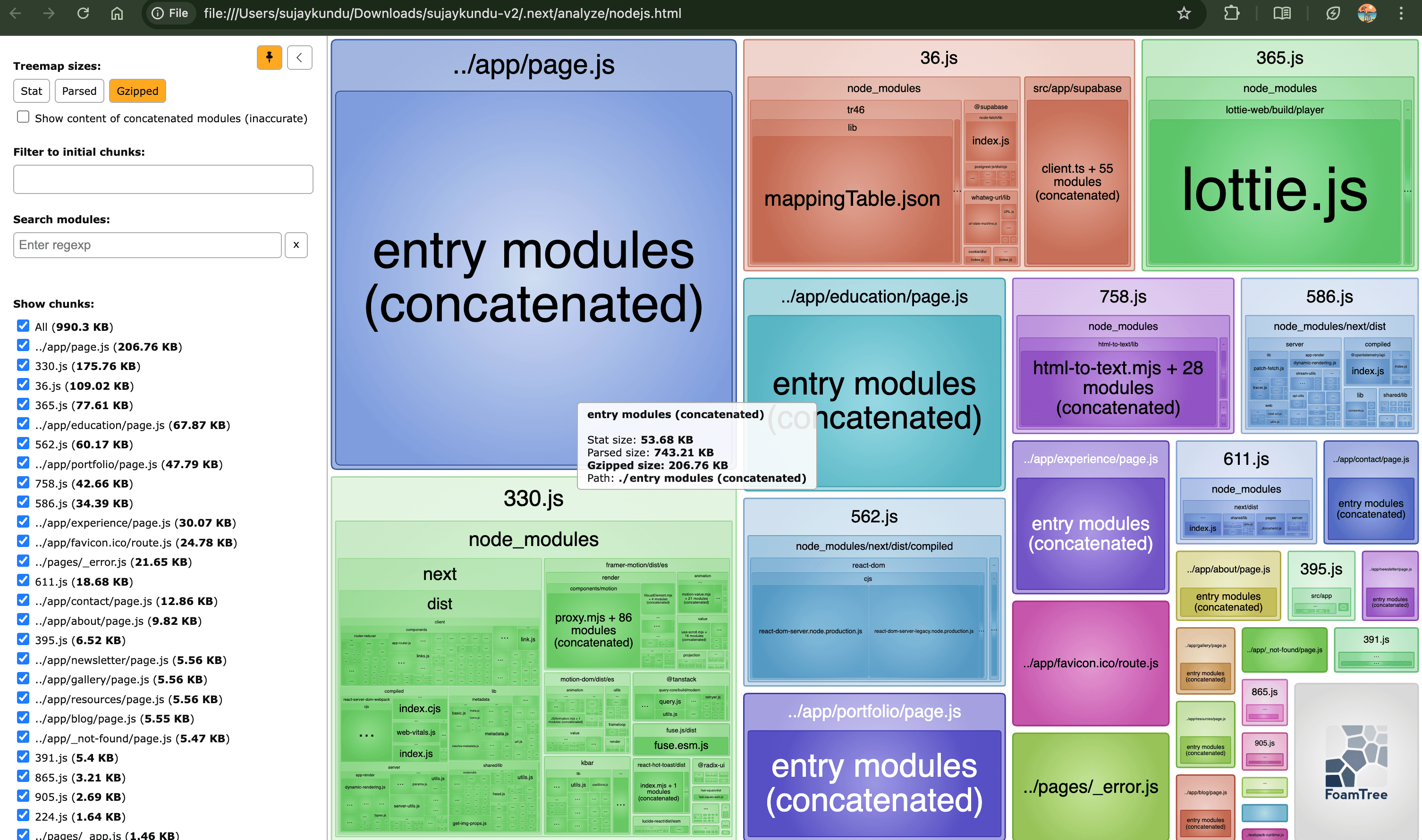 Webpack Bundle Analyzer Server
